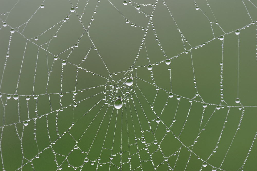 11. Platz Hans Kerler